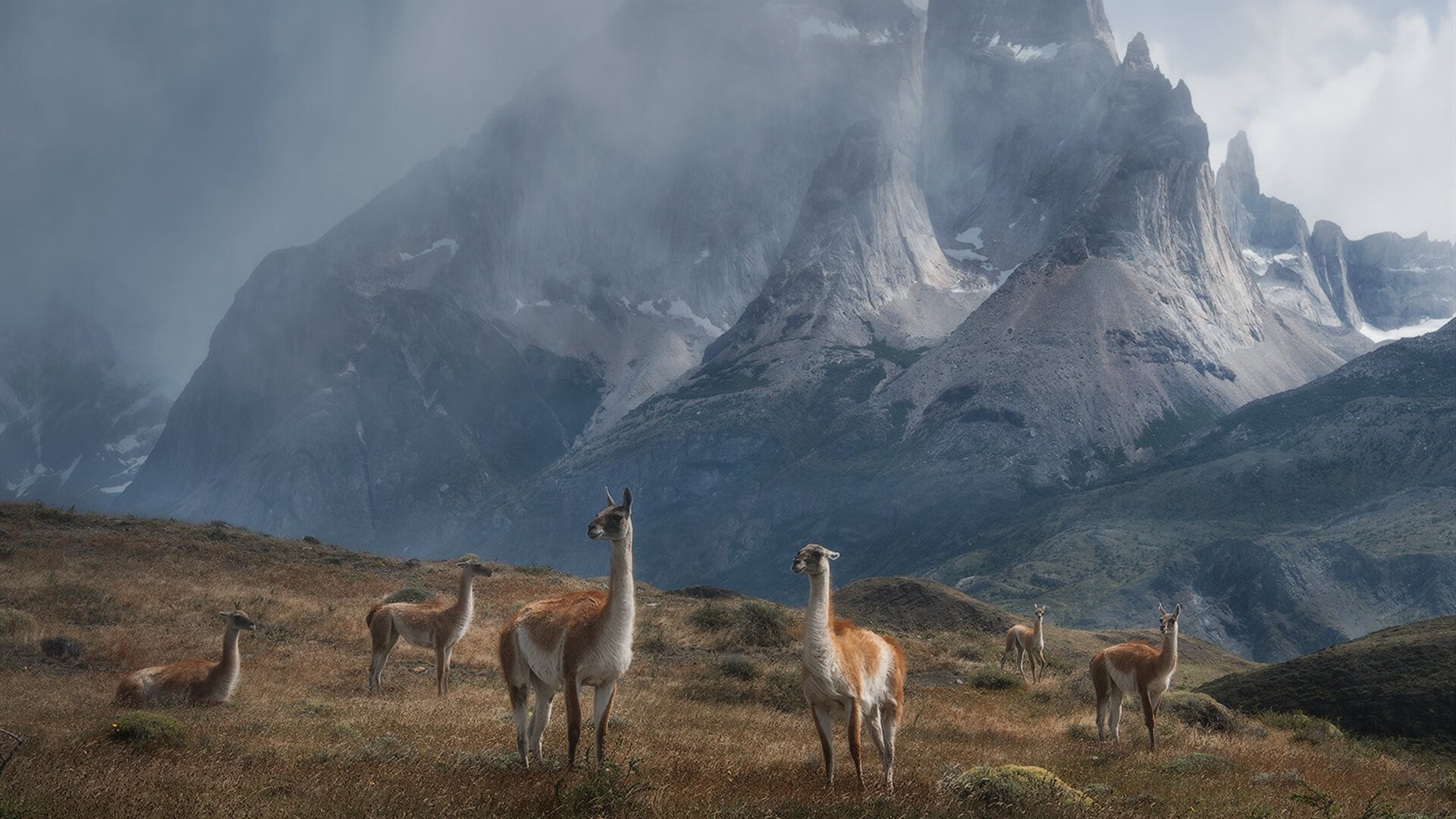 假球阴影：足球裁判问题引发全民关注，足球最著名的假球事件