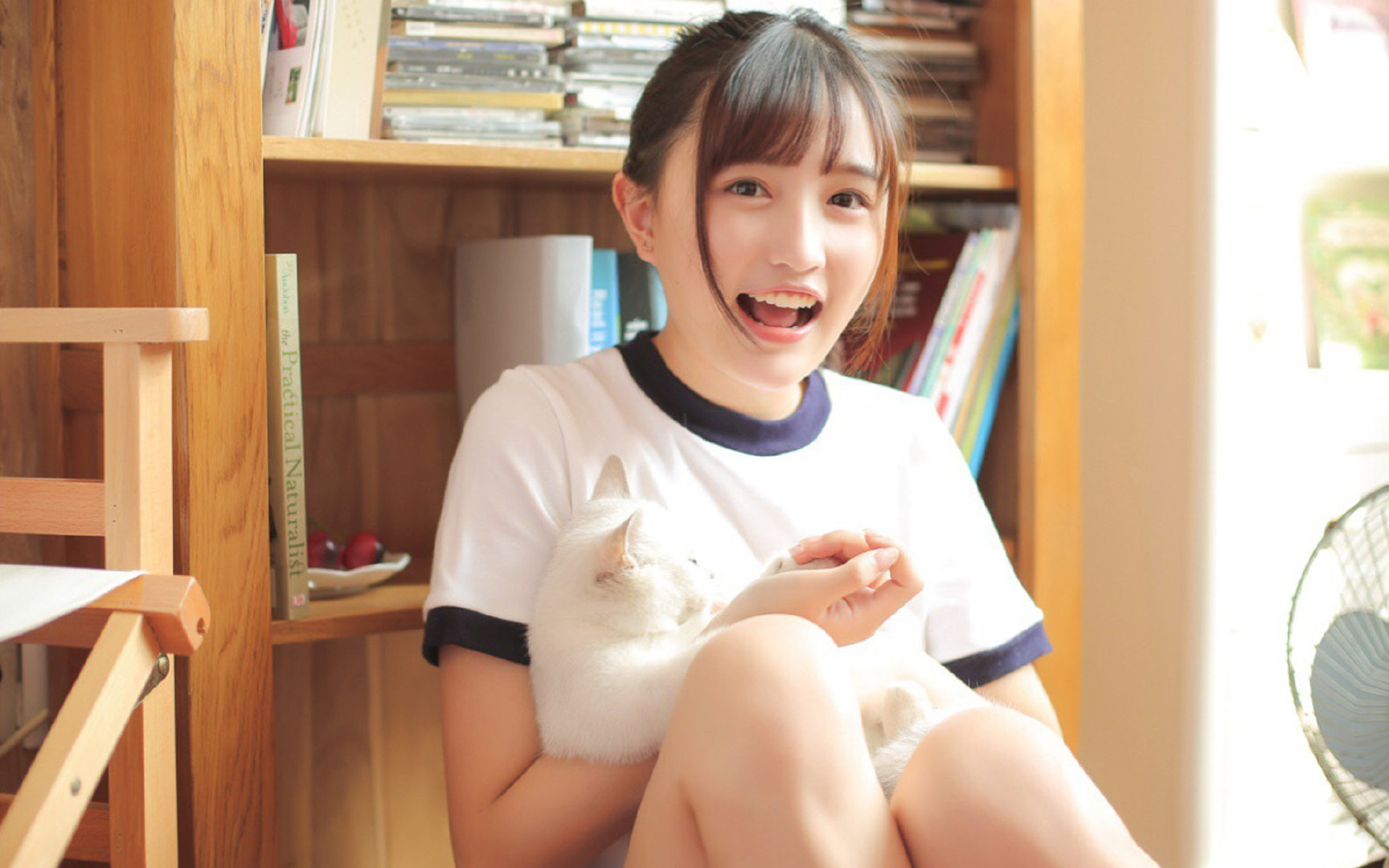 冰球之夜：东部决赛惊心动魄，冰球决赛视频